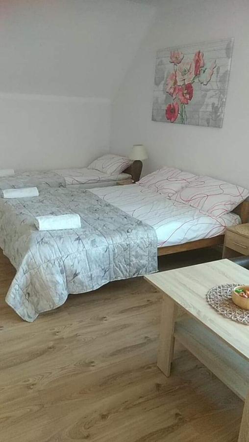 Pokoje Goscinne U Gochy Ustrzyki Dolne Exteriér fotografie