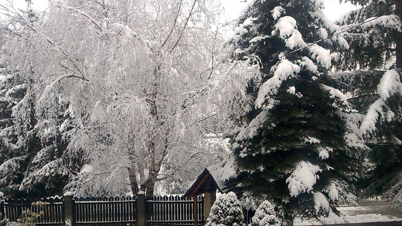Pokoje Goscinne U Gochy Ustrzyki Dolne Exteriér fotografie